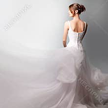 Beautiful bride in a luxurious wedding dress
