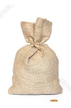Bag and Coin