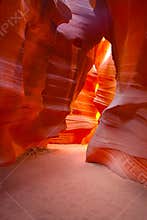 Antelope Canyon (The Bear)
