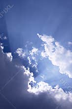 Rays Of Sunshine
