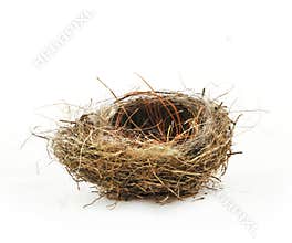 Empty nest