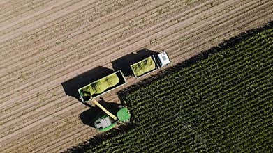 Corn harvest in the field seen from above