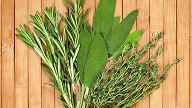 Collection of fresh herbs for cooking isolated on wood background. Bunch of herbs