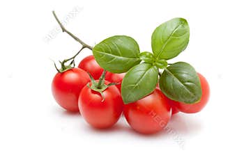 Fresh Tomato And Basil