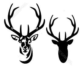 Deer stag with big antlers black and white vector portrait