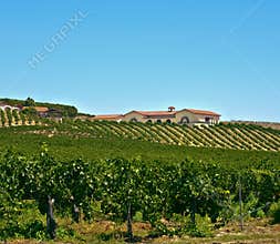 Wine Country, Southern California