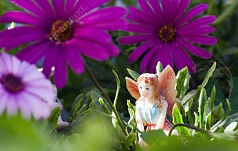 Fairy on vegetation