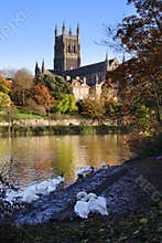 River Severn and Worcester Cathedral