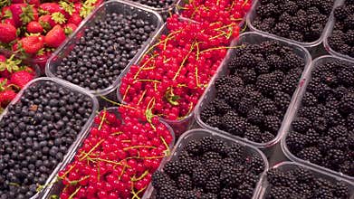 Fruits: strawberries, blackberries, red currants, raspberries in special trays on the counter in the supermarket