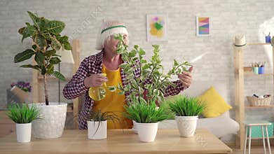 Positive older woman gardening sprays home plants in her living room