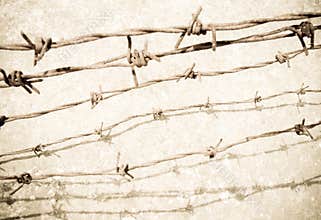Barbed wire