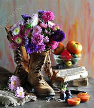 Still life with asters in boots