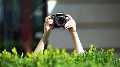 Woman hands holding photo camera behind park bush, private detective, spying