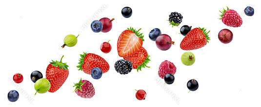 Flying berries isolated on white background with clipping path