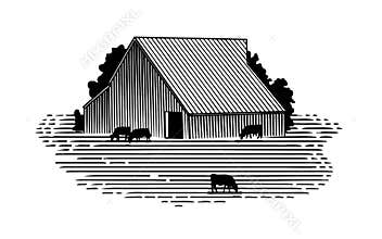 Woodcut Barn and Cattle