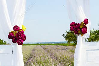 Landscape with lavender field seen through open door