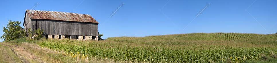 Barn Cornfield Panorama Corn Stalk Field Panoramic
