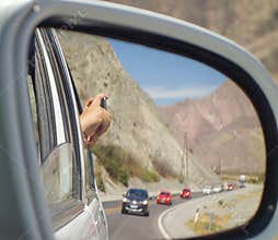 Mirrorview of a Roadtrip into the mountains, salta, argentina