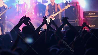 Crowd of fans are cheering at open-air rock concert