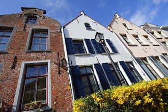 Flemish houses