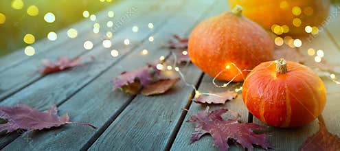 Thanksgiving holiday party background, autumn pumpkin and holidays light decoration