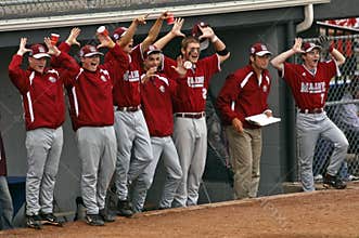 Senior league baseball world series maine dugout