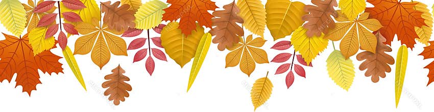 Autumn fall leaves banner background seamless