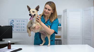 Smiling vet doctor stroking smiling dog at veterinary clinic, pet health checkup