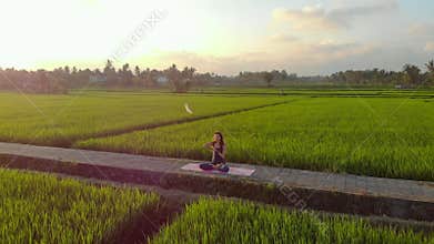 Aerial shot of a young woman practicing yoga on a big beautiful rice field during sunset. Travel to Asia concept.