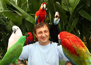 Man and parrots