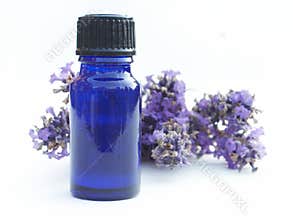Lavender Bottle