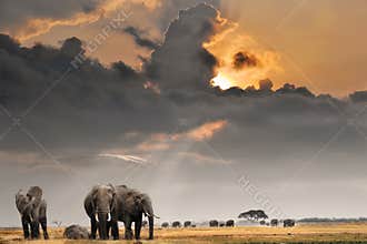 African sunset with elephants