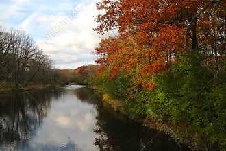 Riverside Autumn Colored Trees in Illinois