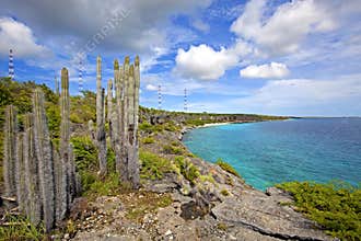 Bonaire coastline