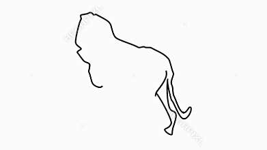 Lion icon Line Drawing Animation Transparent Background Vector Motion Graphics Loop