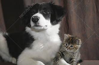 Friends