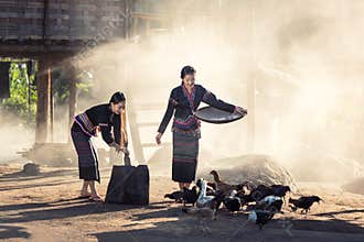 Asian girls Hmong feeding chickens