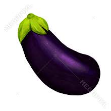 Realistic watercolor illustration of purple eggplant isolated on white background. Organic food icon. Healthy and