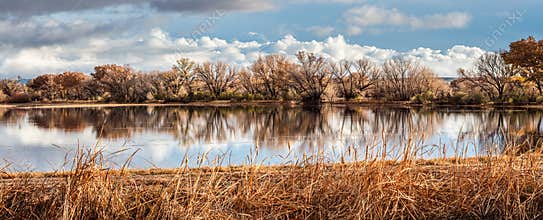 Wetlands Habitat