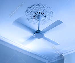 Ceiling Fan