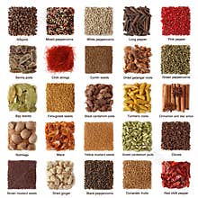 Indian spices collection