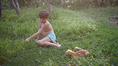 boy plays with Orange Scottish Fold kitten with a branch, on grass in garden