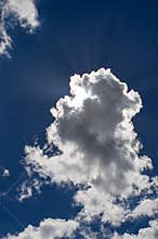 Cloud with silver lining