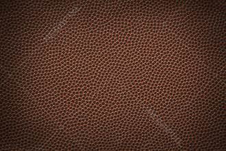 Football Texture