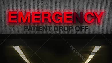 Run-Down Emergency Room