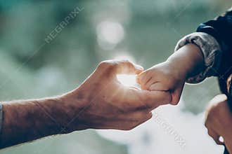Father and little son holding hands in sunlight. father`s hand lead his child son in summer forest nature outdoor, trust,