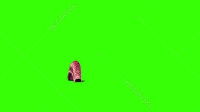 Giant Worm Monster Crawl Green Screen 3D Rendering Animation