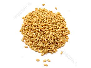 Wheat