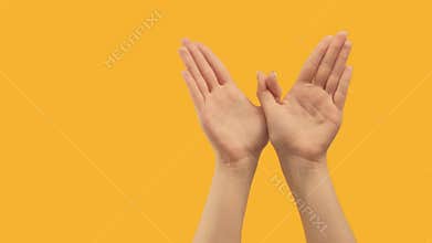 Finger gesture butterfly sign female hands flying