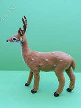 Roe deer animal of class Mammalia mammals